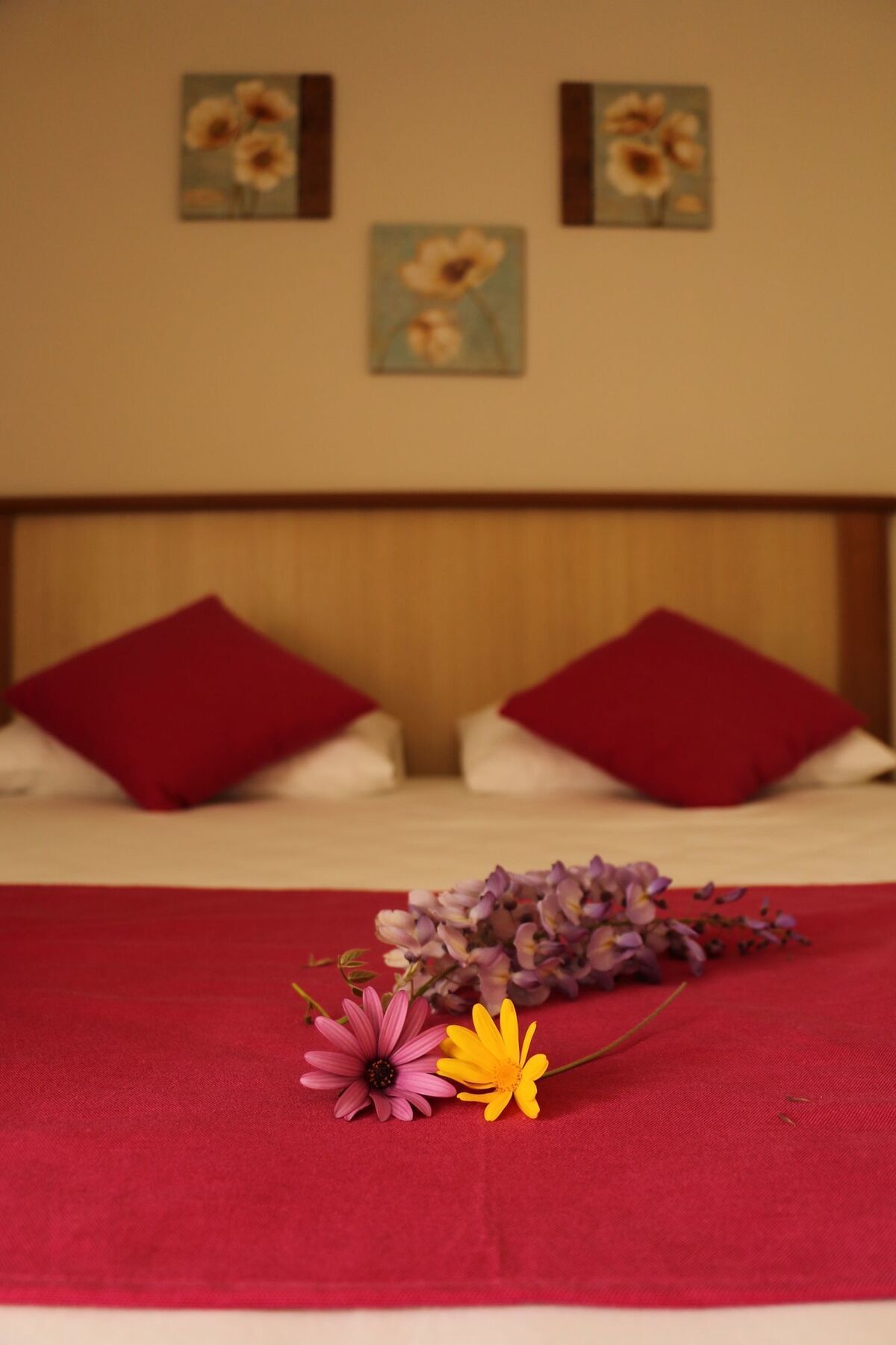Hotel Cunda Sir Ayvalı Esterno foto